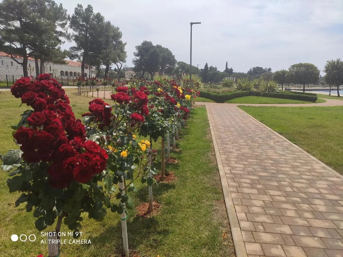 Bluemarine Apartment Umag 0*,